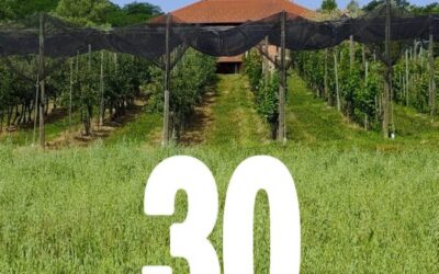 Monografija Poljoprivrednog učilišta