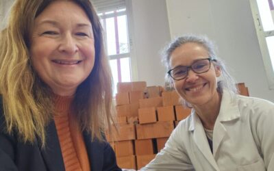 Job shadowing u Španjolskoj