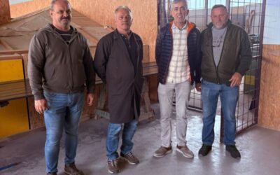 Job shadowing u našoj školi