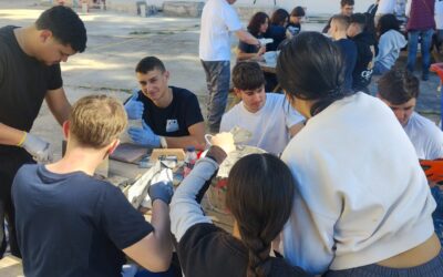 Grupna mobilnost učenika u Malagi, Future in our hands IV